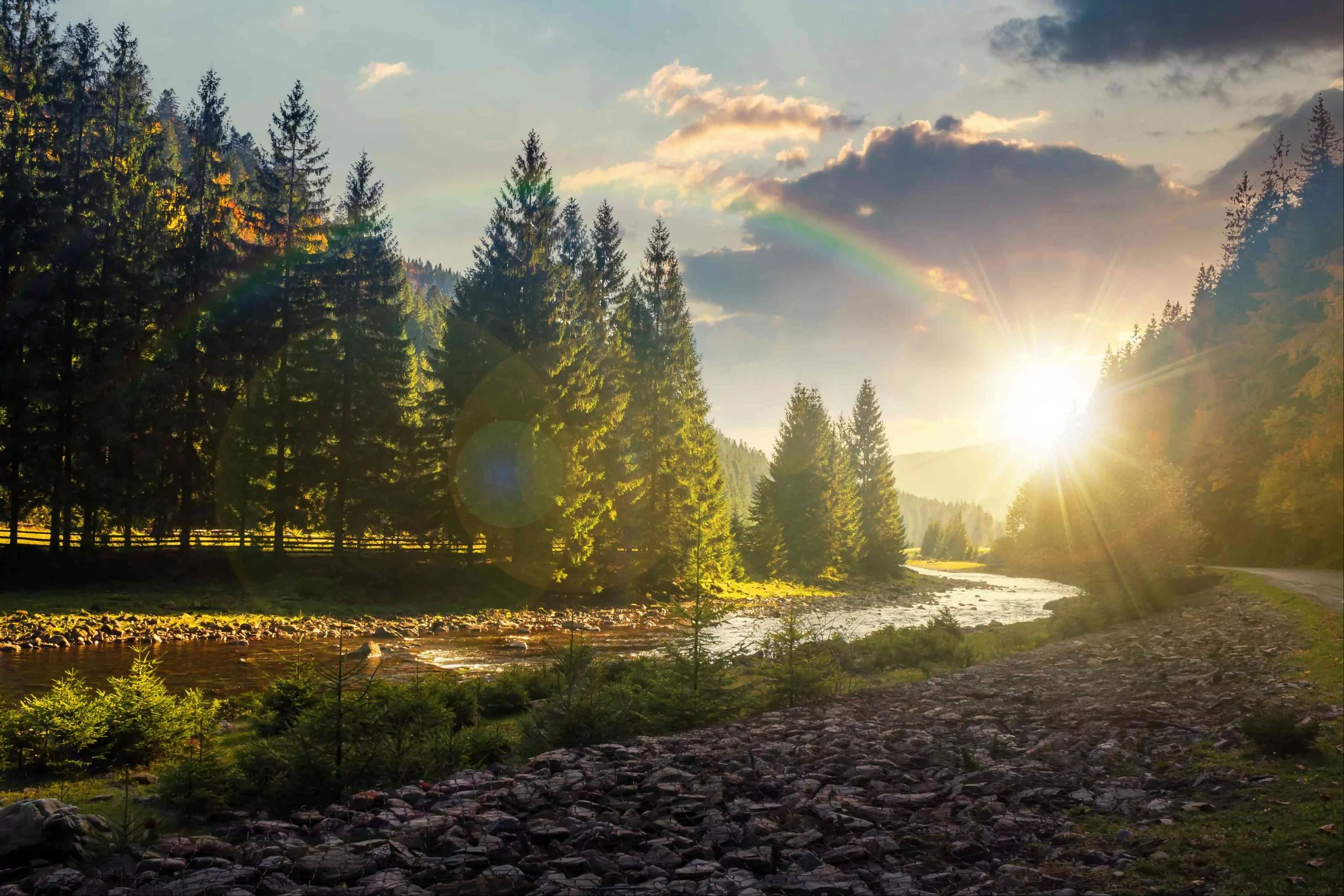 the natural energy of the Carpathians in every drop